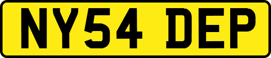 NY54DEP