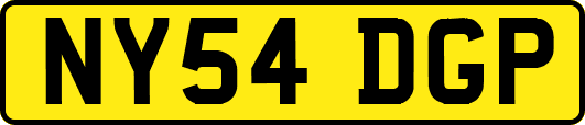 NY54DGP