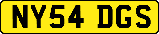 NY54DGS