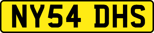 NY54DHS