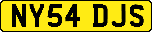 NY54DJS