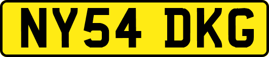 NY54DKG