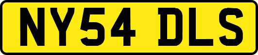NY54DLS