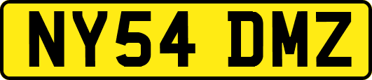 NY54DMZ