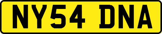 NY54DNA