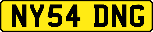 NY54DNG