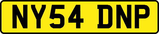 NY54DNP