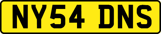 NY54DNS