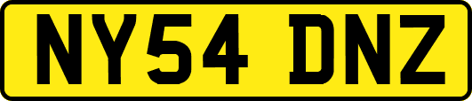 NY54DNZ