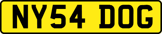 NY54DOG