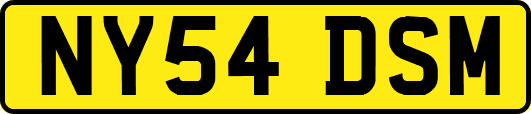 NY54DSM