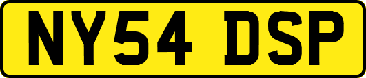 NY54DSP