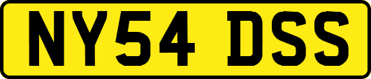 NY54DSS
