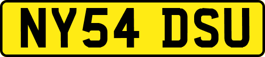NY54DSU