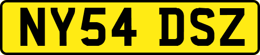 NY54DSZ