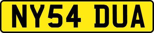 NY54DUA