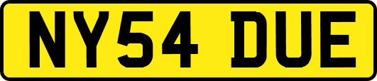 NY54DUE