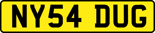 NY54DUG