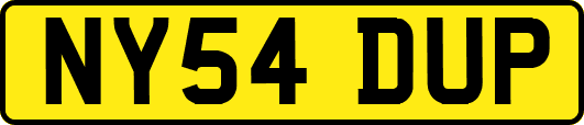 NY54DUP