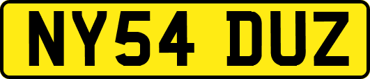 NY54DUZ