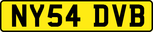 NY54DVB