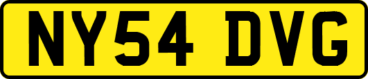 NY54DVG