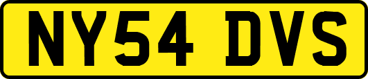 NY54DVS