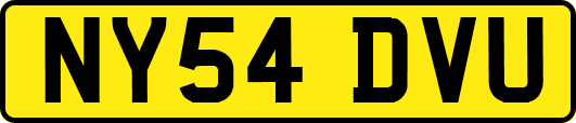NY54DVU