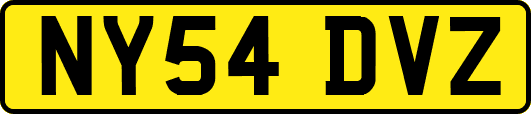 NY54DVZ