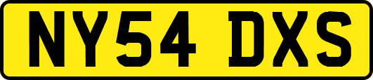 NY54DXS