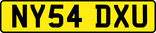 NY54DXU