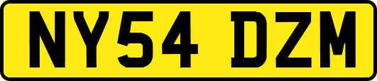 NY54DZM