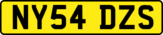 NY54DZS