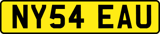 NY54EAU