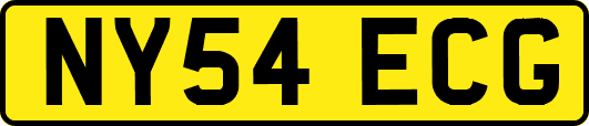 NY54ECG