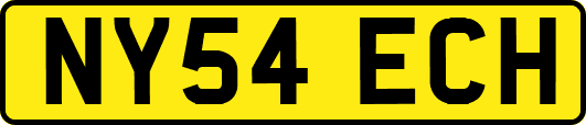 NY54ECH