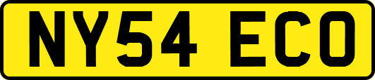 NY54ECO