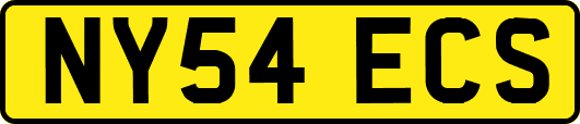 NY54ECS