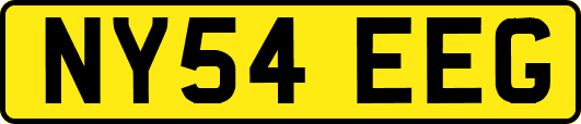 NY54EEG
