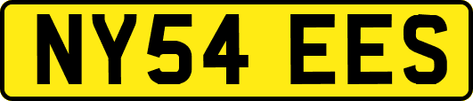 NY54EES