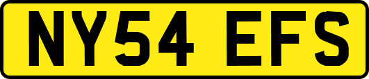 NY54EFS