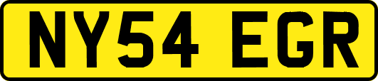 NY54EGR