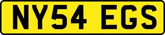 NY54EGS