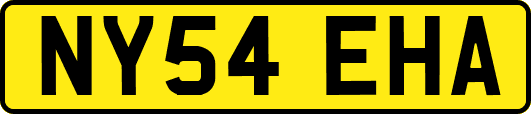 NY54EHA