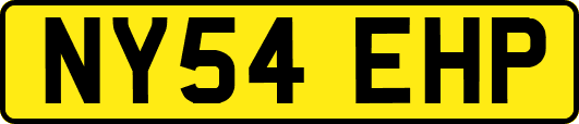 NY54EHP