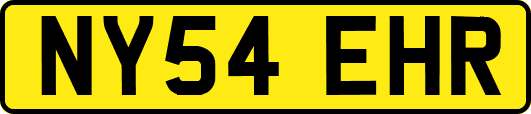 NY54EHR