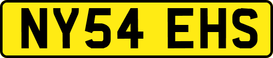 NY54EHS