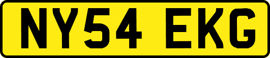 NY54EKG