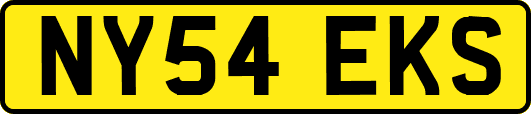 NY54EKS