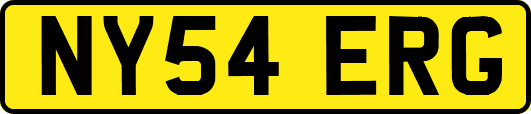 NY54ERG